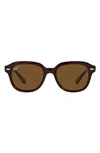 Ray Ban Erik 51mm Polarized Square Sunglasses In Havana