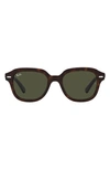 Ray Ban Erik 53mm Square Sunglasses In Havana