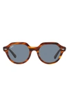 Ray Ban Ray-ban Gina 51mm Square Sunglasses In Striped Havana