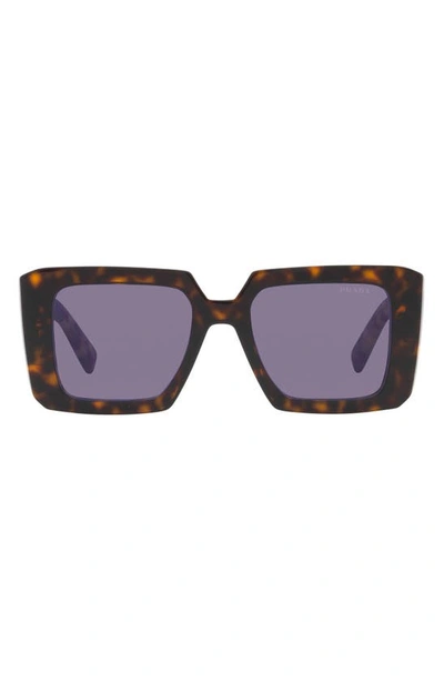 Prada 51mm Tortoise Square Sunglasses