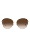 Tiffany & Co Tiffany Hardwear 58mm Pillow Sunglasses In Pale Gold