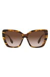 Burberry 55mm Gradient Cat Eye Sunglasses In Striped Brown
