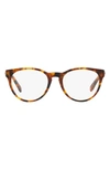 Versace 48mm Phantos Optical Glasses In Havana