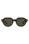 Ray Ban Gina 53mm Square Sunglasses In Havana