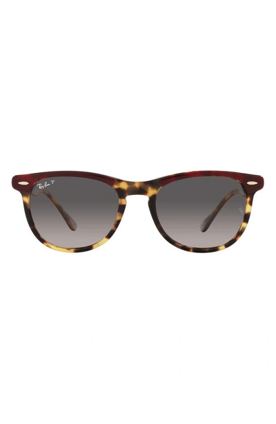 Ray Ban 56mm Gradient Polarized Square Sunglasses In Bordeaux