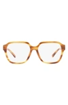 Tory Burch 53mm Square Optical Glasses In Light Wood