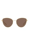 Tory Burch Solid Brown Cat Eye Ladies Sunglasses Ty6091 332673 56 In Brown / Ivory