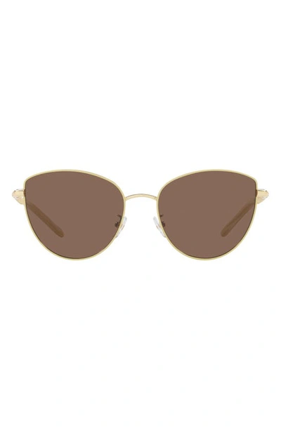 Tory Burch Solid Brown Cat Eye Ladies Sunglasses Ty6091 332673 56 In Brown / Ivory
