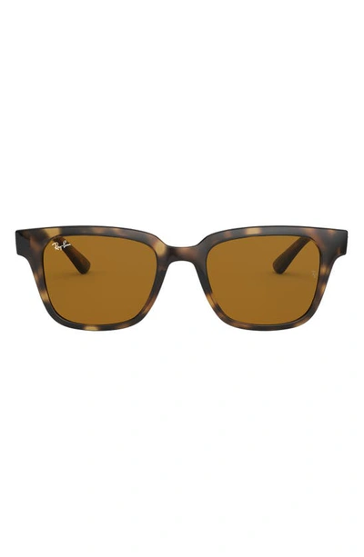 Ray Ban Ray In Brown