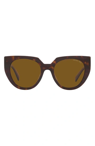 Prada 52mm Polarized Cat Eye Sunglasses In Tortoise