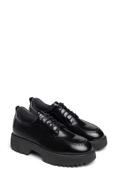 Nerogiardini Lug Sole Derby In Black