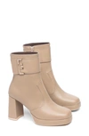 Nerogiardini Platform Bootie In Taupe