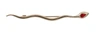 Dolce & Gabbana Silver Brass Crystal Spilla Serpente Brooch Pin In Silver