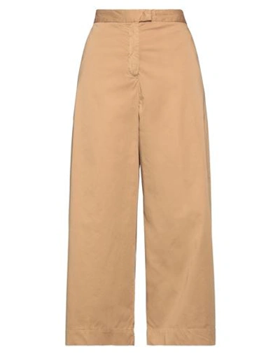 Myths Woman Pants Camel Size 8 Pima Cotton, Elastane In Beige