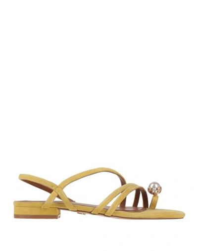 Kurt Geiger Woman Toe Strap Sandals Mustard Size 7 Soft Leather In Yellow