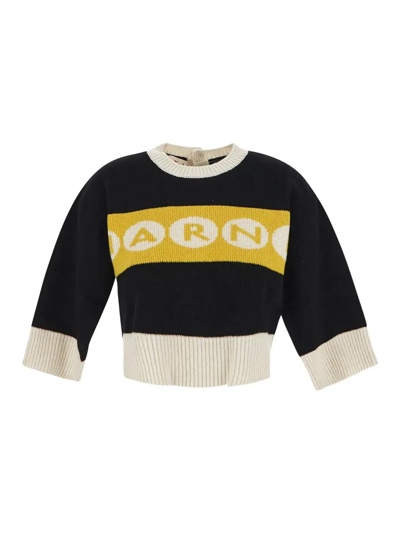 Marni Cropped Knit In Multi