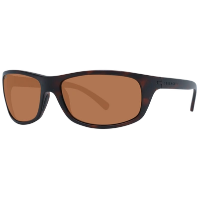 Serengeti Brown Unisex  Sunglasses