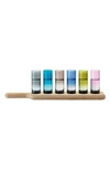 Lsa Paddle Shot Set In Beige/ Blue Multi