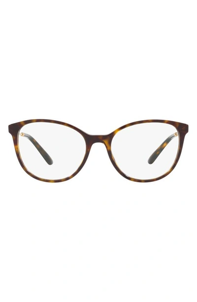 Dolce & Gabbana 52mm Butterfly Optical Glasses In Havana