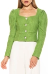 Alexia Admor Rowan Tweed Jacket In Sage