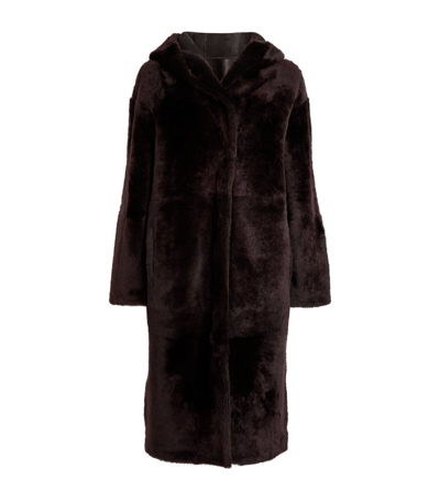 Yves Salomon Shearling Hooded Coat In Marron