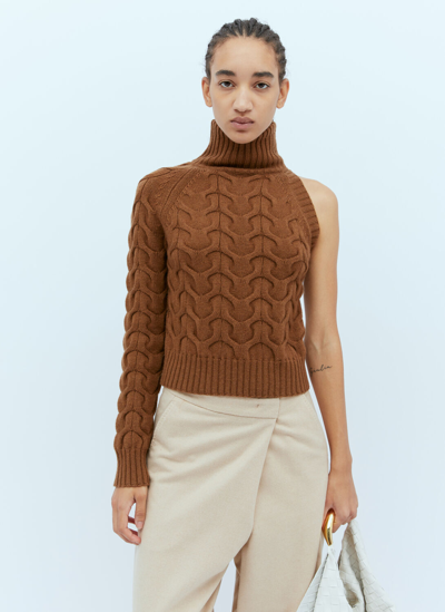 Max Mara One-sleeve Cable Knit Sweater In Brown