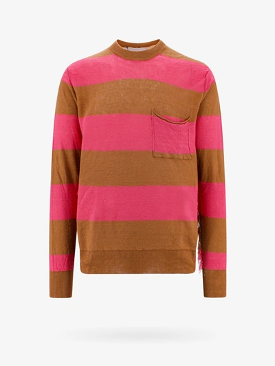 Amaranto Sweater In Pink