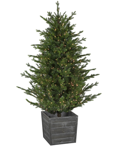 Northern Lights Northlight 6ft Pre-lit Potted Deluxe Russian Pine Artificial Christmas Tree Warm White Led Lights In Green