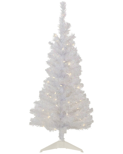 Northern Lights Northlight 4ft Pre-lit Rockport White Pine Artificial Christmas Tree Clear Lights