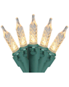 Northern Lights Northlight 200 Clear Led M5 Christmas Lights - 62ft Green Wire In Clear