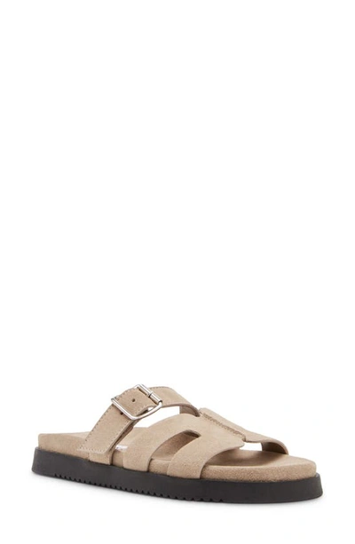 Steve Madden Mayhem Slide Sandal In Taupe Suede