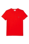 Lacoste Pima Cotton T-shirt In Pasteque