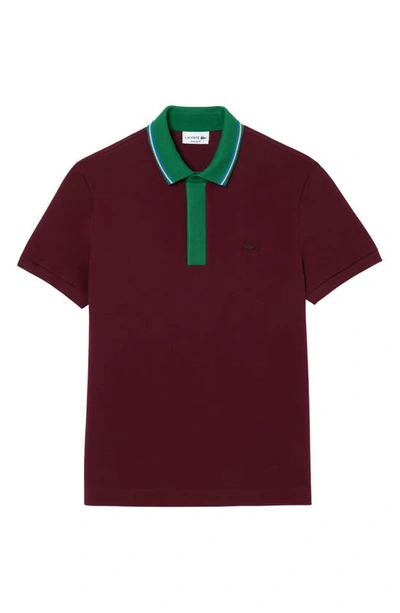 Lacoste Regular Fit Tipped Cotton Piqué Polo In Yup Zin