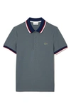 Lacoste Regular Fit Polo With Contrasting Collar - Xxl - 7 In Grey