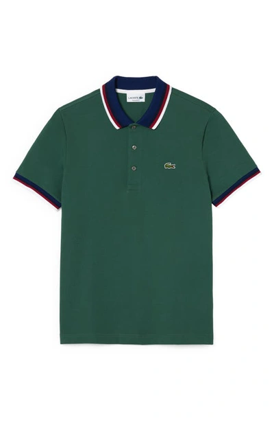 Lacoste Regular Fit Polo With Contrasting Collar - Xxl - 7 In Green