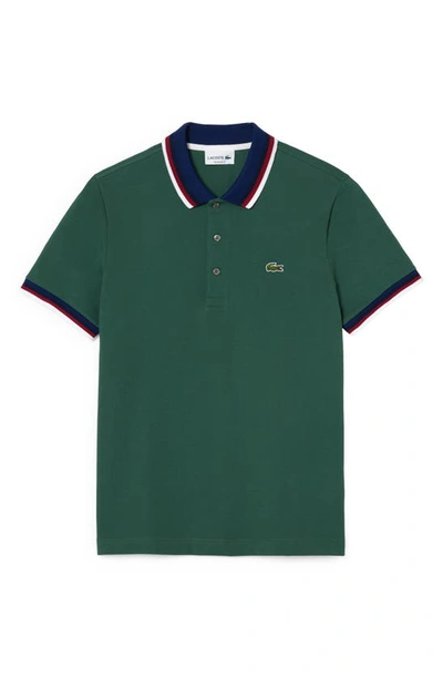 Lacoste Regular Fit Polo With Contrasting Collar - Xxl - 7 In Sequoia