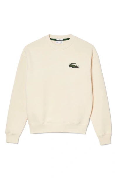 Lacoste Loose Fit Crocodile Badge Crewneck Sweatshirt In Laponie