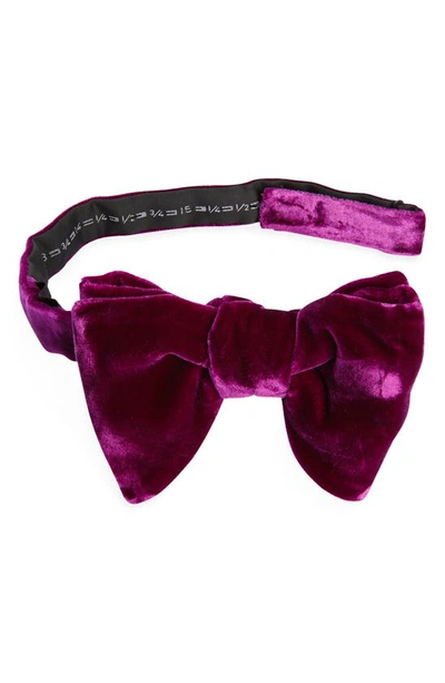 Tom Ford Pre-tied Velvet Bow Tie In Purple Peony
