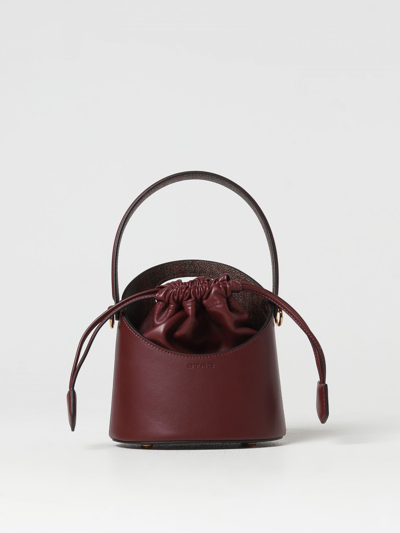 Etro Mini Bag  Woman Color Brown