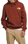 The North Face Places We Love Graphic Hoodie In Brandy Brown,sun Sprite