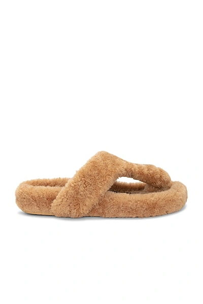 Loewe Ease Shearling Thong Sandals In Beige