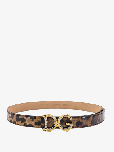 Dolce & Gabbana Dg Girls Belt In Brown