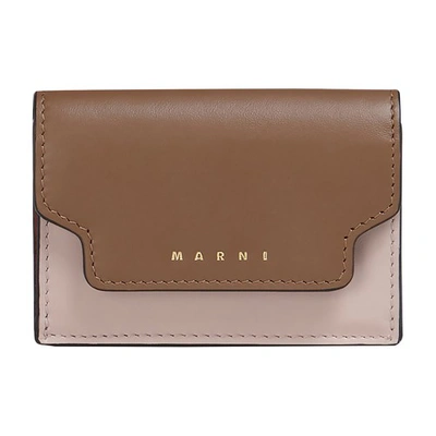 Marni Saleather Tri-fold Wallet In Gold_brown_quartz_burgundy