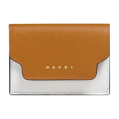 Marni Saffiano Leather Tri-fold Wallet In Dijon_lilywhite