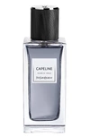 SAINT LAURENT CAPELINE