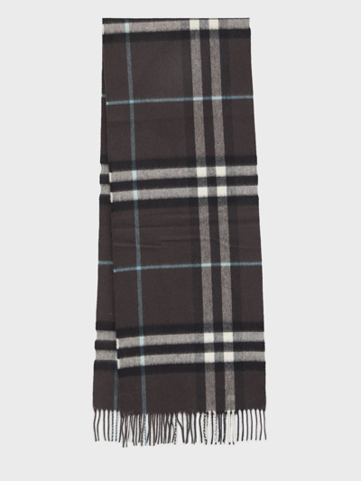 Burberry Checked Fringed Cashmere Scarf In Multi