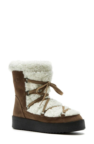 La Canadienne Eloise Suede Shearling Snow Boots In Walnut
