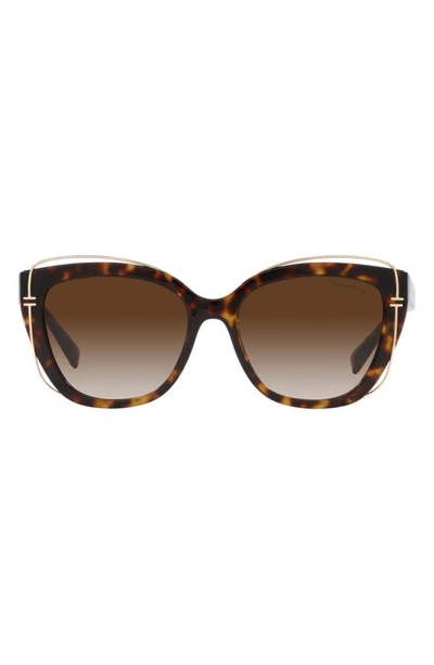 Tiffany & Co 54mm Gradient Cat Eye Sunglasses In Brown Gradient