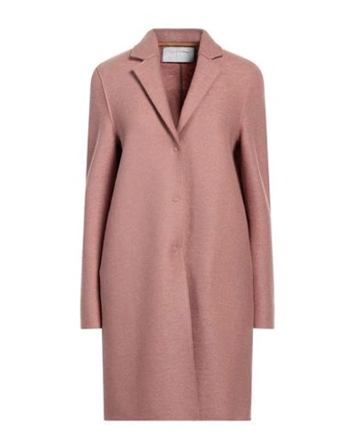 Harris Wharf London Woman Coat Blush Size 10 Virgin Wool In Pink