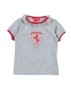 Scuderia Ferrari Ferrari Newborn Girl T-shirt Light Grey Size 3 Cotton, Elastane In Grey